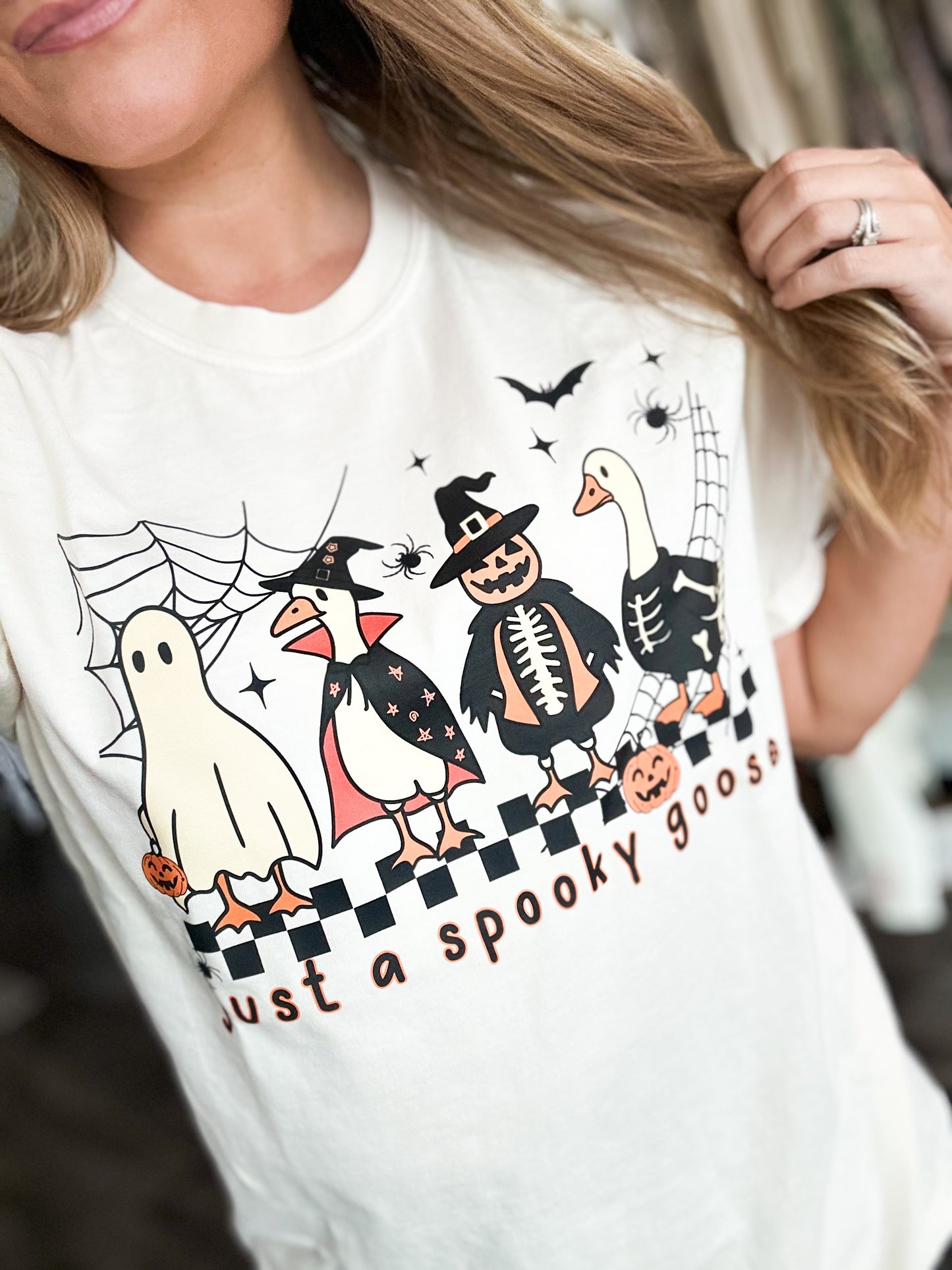 Just A Spooky Goose Graphic Tee
