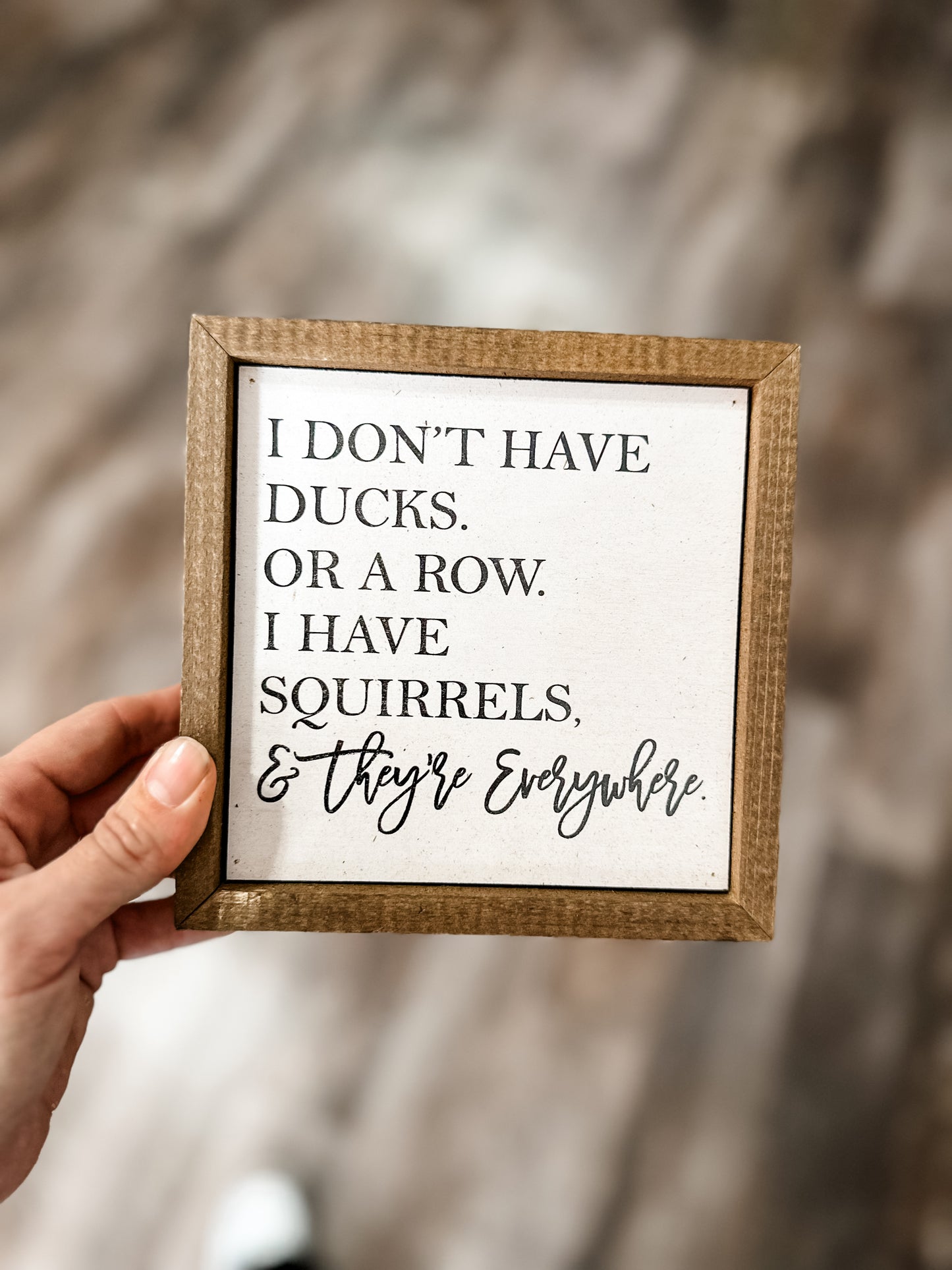 I Don’t Have Ducks Sign