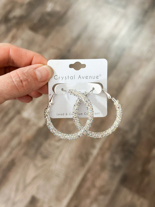 Dazzling Silver Hoop Earrings